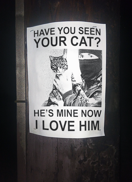 have you seen this cat meme - Have You Seen Your Cat? He'S Mine Now I Love Him