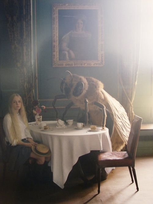 tim walker photography