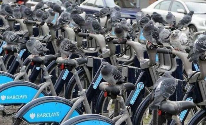 Bicycle - Barclays Barceres Barclays