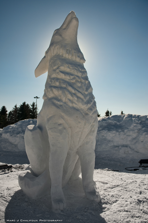 Ice Sculptures: Very Beautiful Ice Sculptures