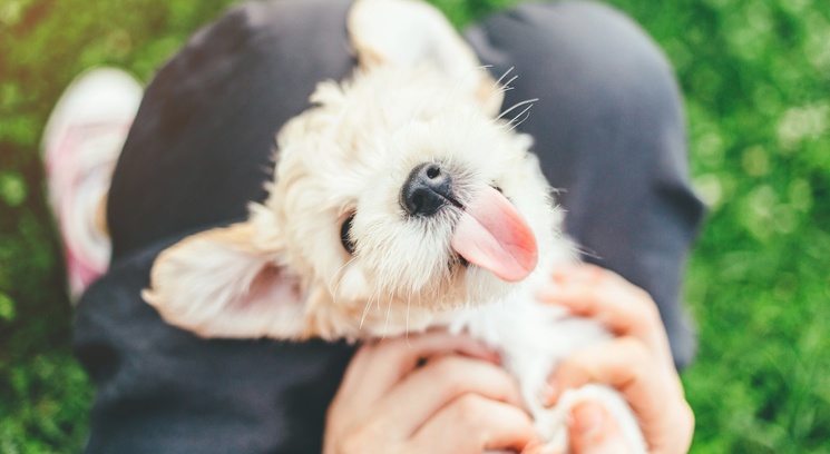 Having A Bad Thursday?? Well Here's Some Cute Fluffy Animals To Make It All Better