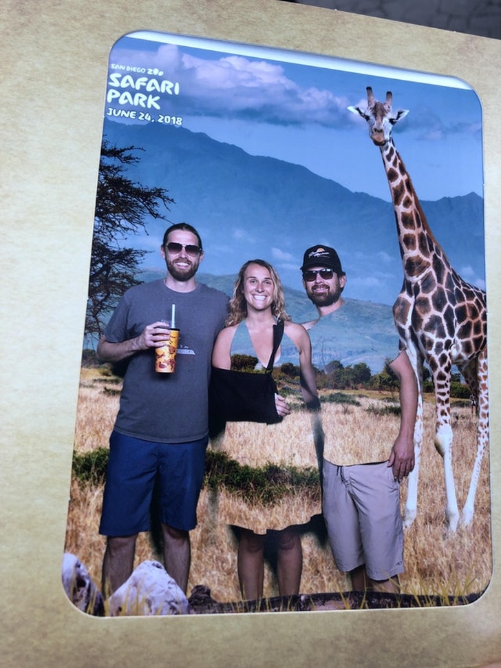 giraffe - San Diego 26. Safari Park Tukse Call
