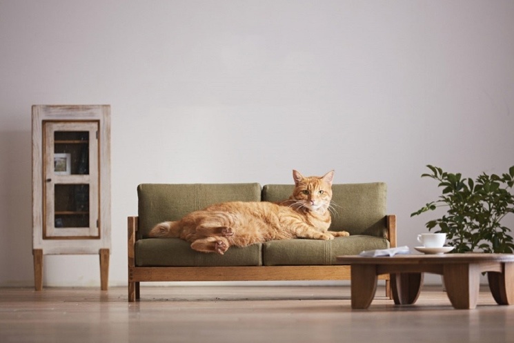 mini furniture for cats