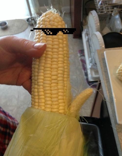 random cool pic of corn that looks like a dick
