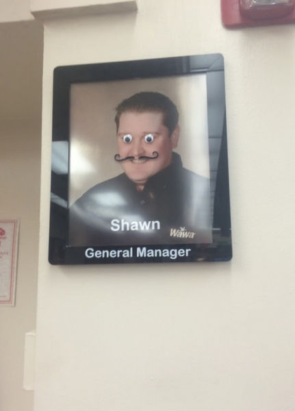 random cool pic of Humour - Shawn Wawa General Manager