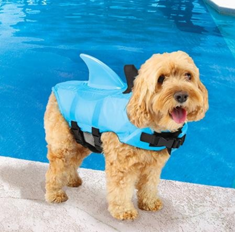dog life jackets