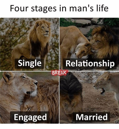 four stages in man's life - Four stages in man's life Single Relationship Break Engaged Married