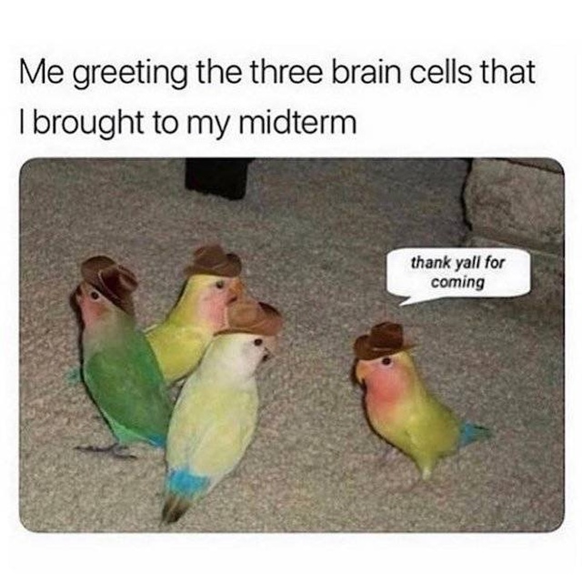 me greeting the three brain cells - Me greeting the three brain cells that I brought to my midterm thank yall for coming