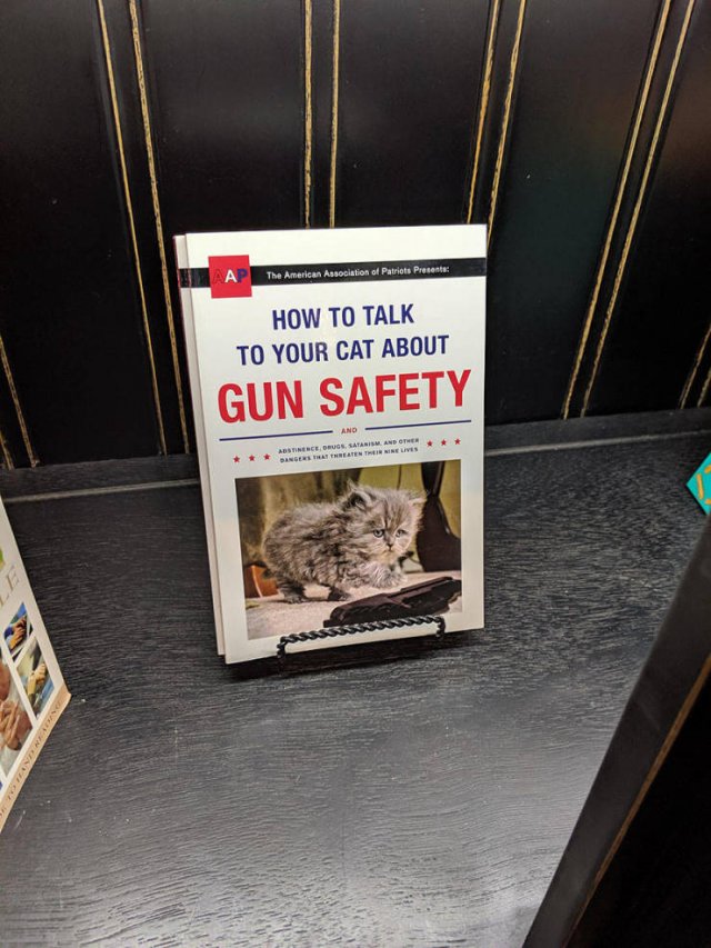 awkward animal - A The American Association of Patriots Presents How To Talk To Your Cat About Gun Safety Nebe Drugs. Satanism And Other Evne