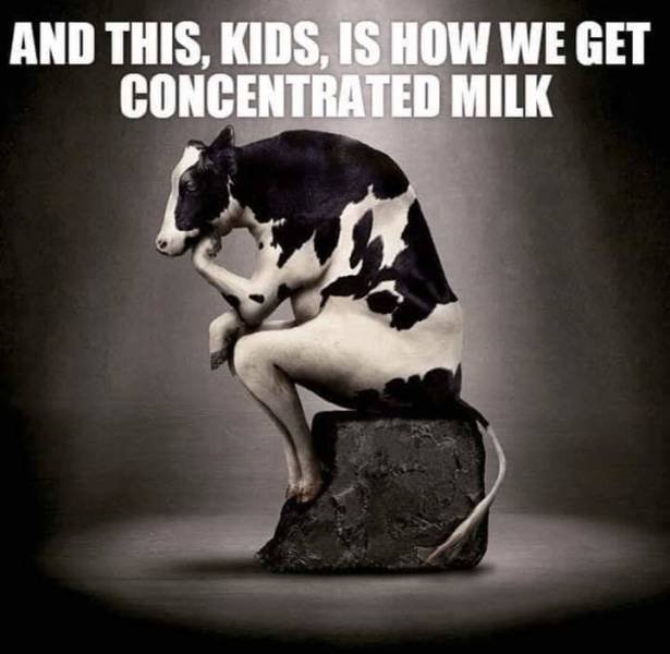 concentrated milk meme - And This, Kids, Is How We Get Concentrated Milk