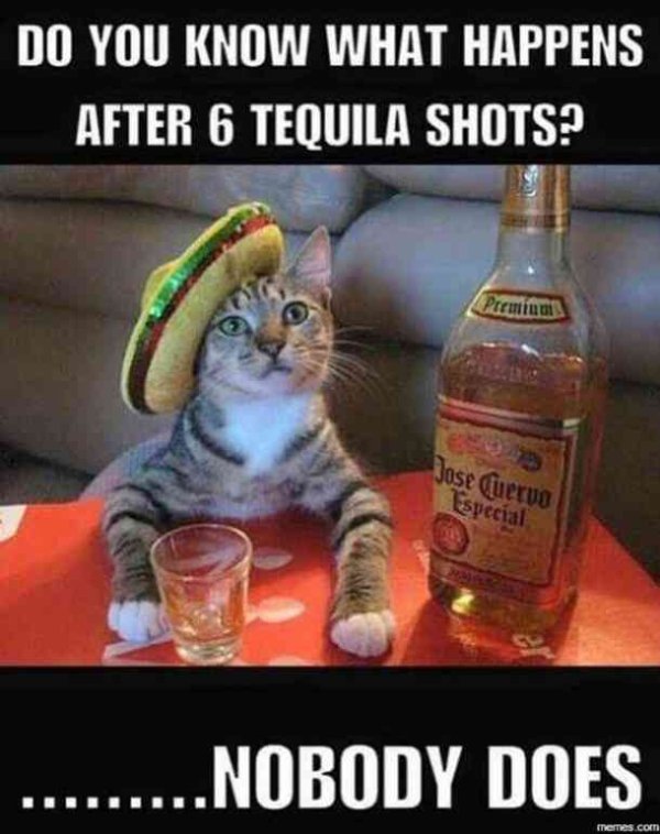 tequila funny - Do You Know What Happens After 6 Tequila Shots? Jose Cuervo Especial .........Nobody Does memes.com