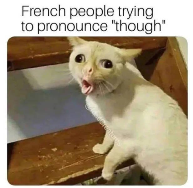 french people trying to say though - French people trying to pronounce "though" Das realure