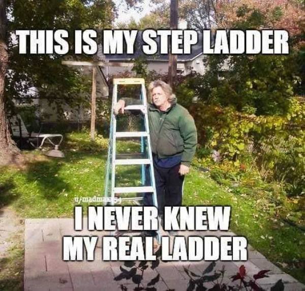 my step ladder i never knew my real ladder - This Is My Step Ladder Afmadma I Never Knew My Realladder