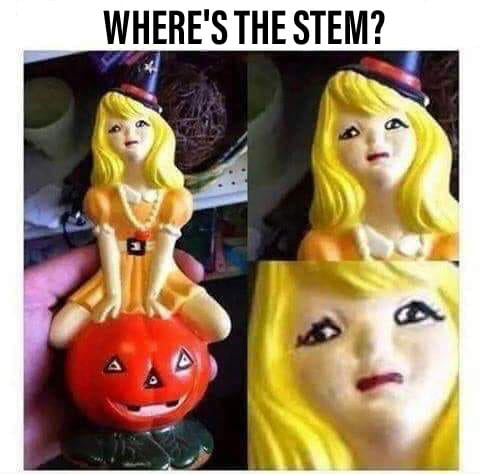 where's the pumpkin stem - Where'S The Stem?