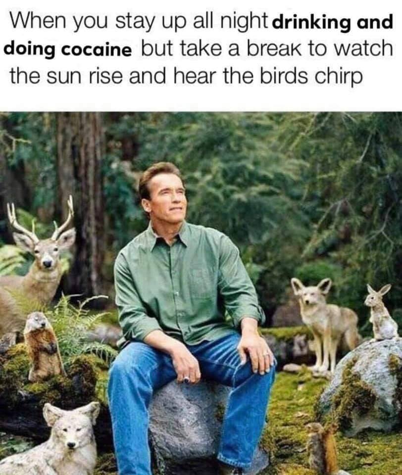 arnold eco meme - When you stay up all night drinking and doing cocaine but take a break to watch the sun rise and hear the birds chirp