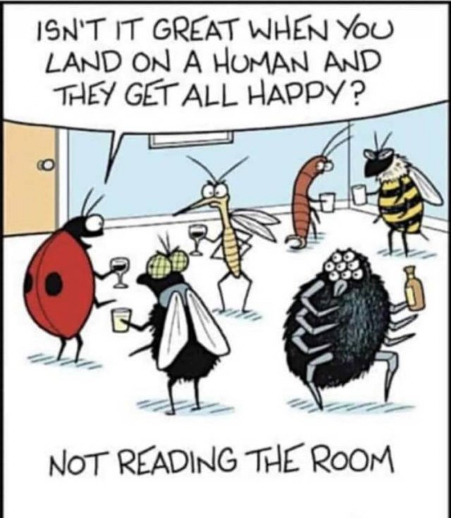 funny cartoons by mark parisi - Isn'T It Great When You Land On A Human And They Get All Happy? Not Reading The Room
