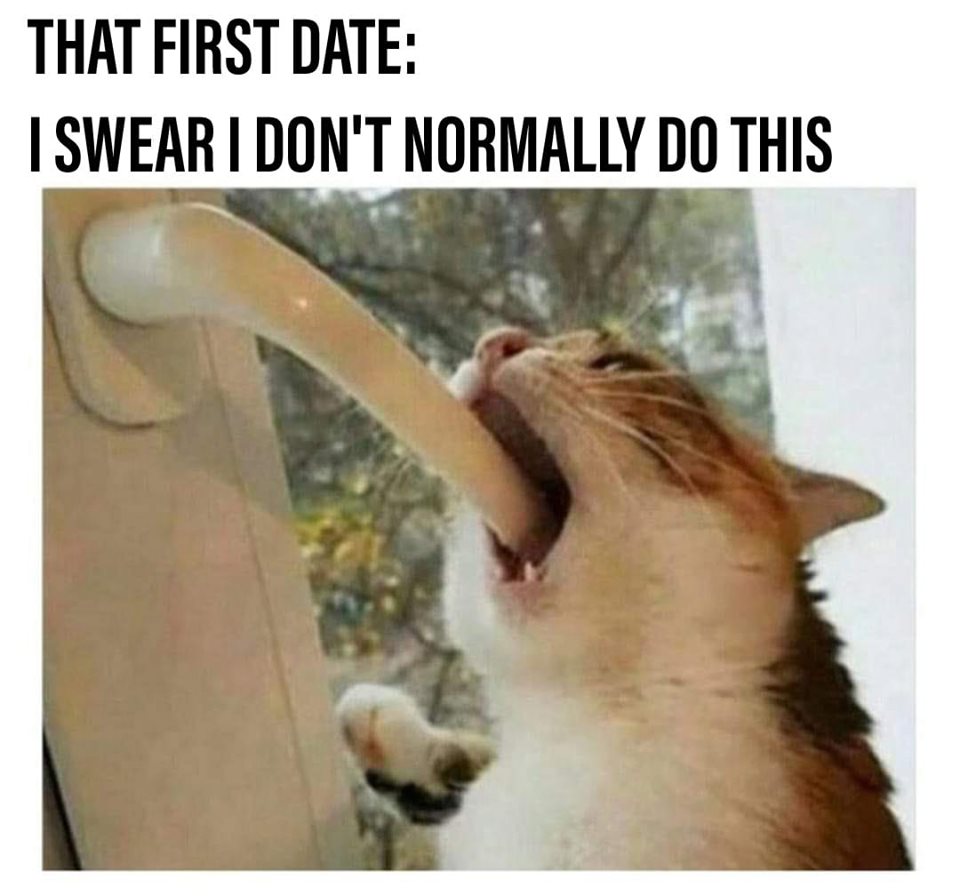 small girl memes - That First Date I Swear I Don'T Normally Do This