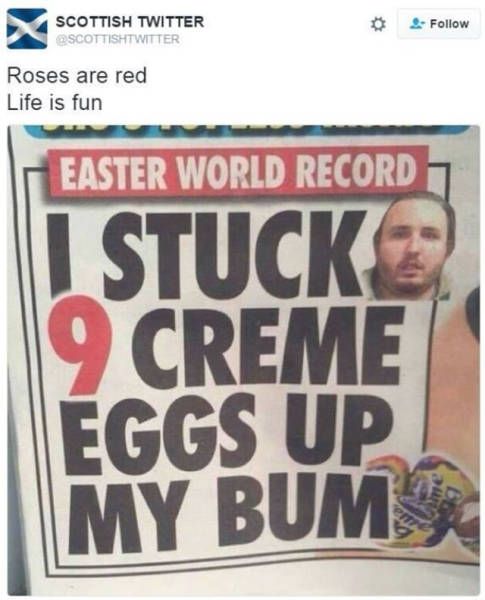 poster - Scottishtwitter X Scottish Twitter Roses are red Life is fun Easter World Record I Stuck 9 Creme Eggs Up My Bum