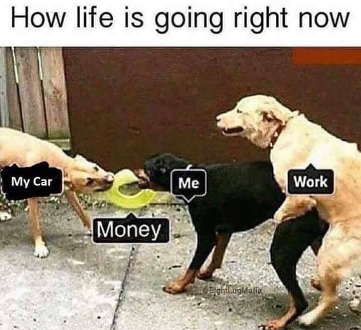 life is going meme - How life is going right now My Car My car me Me w Work ork Money ProBightouglafia