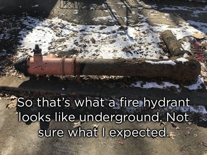 asphalt - So that's what a fire hydrant looks underground. Not sure what I expected.