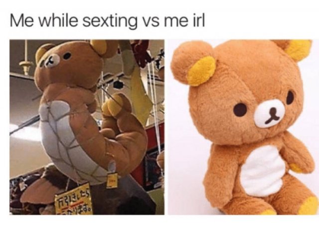 horny memes - Me while sexting vs me irl