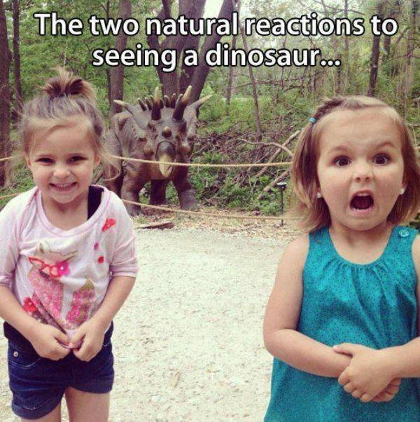 there are 2 types of women - | The two natural reactions to Si seeing a dinosaur...