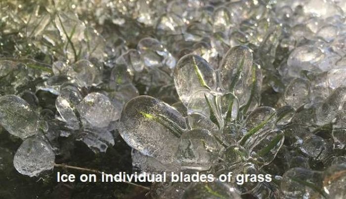 mineral - Ice on individual blades of grass