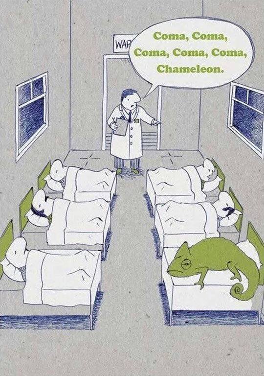 random coma coma coma coma chameleon