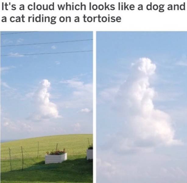 sky - It's a cloud which looks a dog and a cat riding on a tortoise