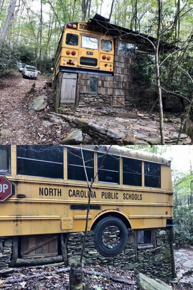 tree - North Carolina Public Schools