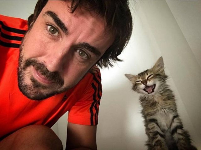 fernando alonso cat