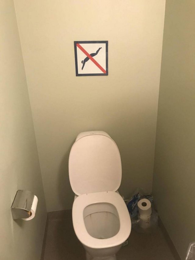 wtf toilet seat
