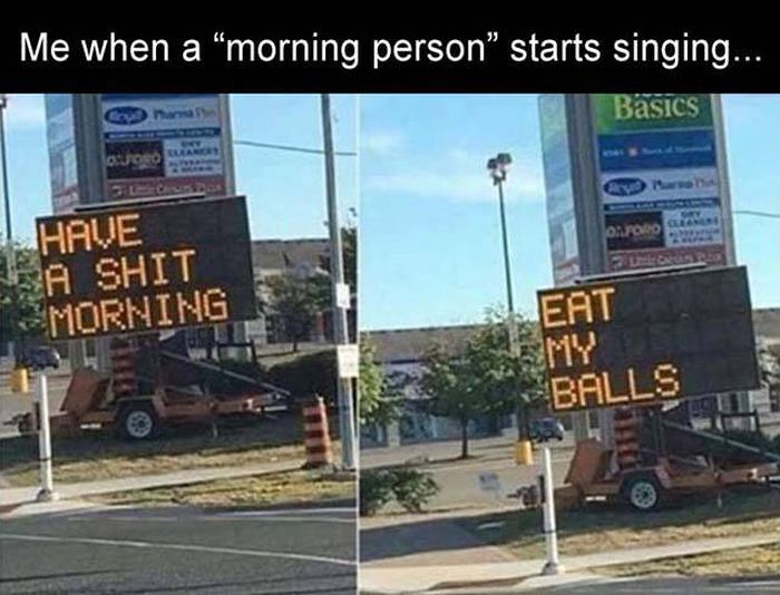 have a shit morning eat my balls - Me when a morning person" starts singing.... Basics Have A Shit Morning Eat Balls