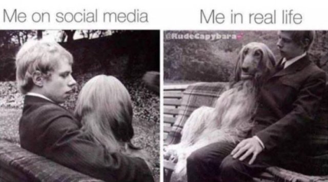 real life vs social media meme - Me on social media Me in real life