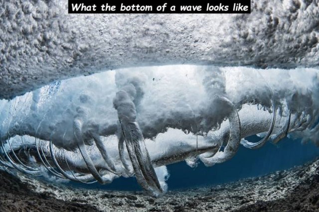 What the bottom of a wave looks
