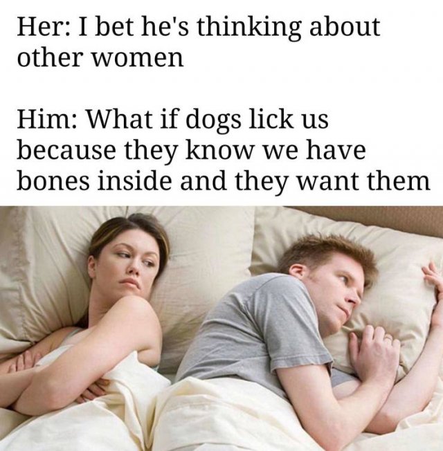 bet he's thinking meme - Her I bet he's thinking about other women Him What if dogs lick us because they know we have bones inside and they want them