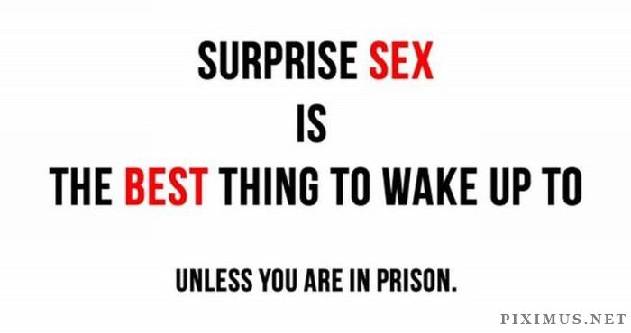 capital - Surprise Sex Is The Best Thing To Wake Up To Unless You Are In Prison. Piximus.Net
