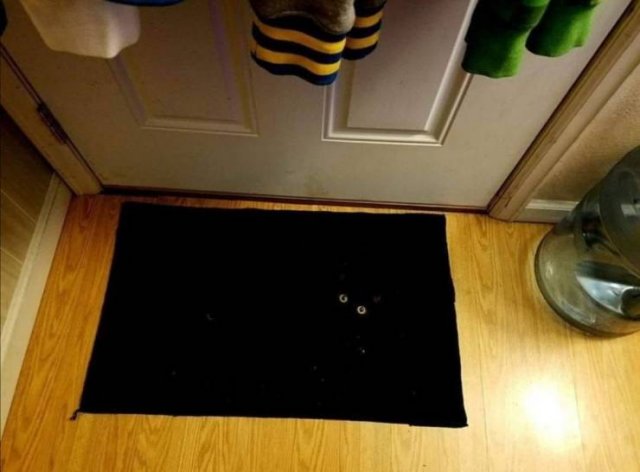 black cat on black rug