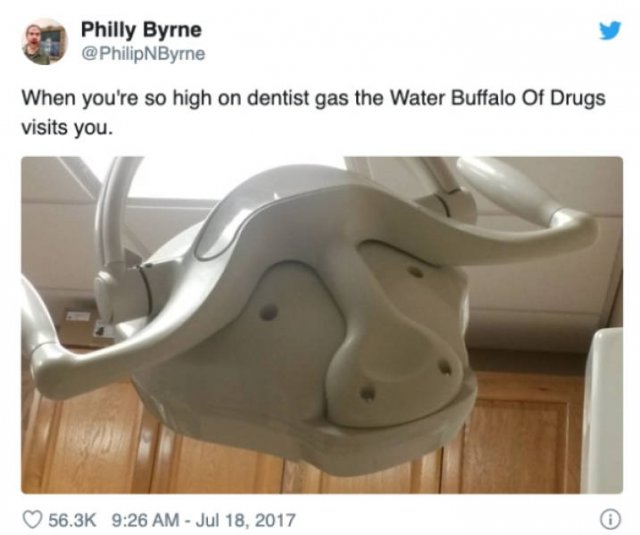 water buffalo of drugs - Philly Byrne When you're so high on dentist gas the Water Buffalo Of Drugs visits you.