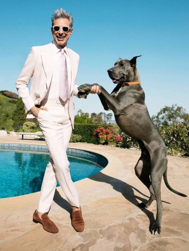 jeff goldblum gq