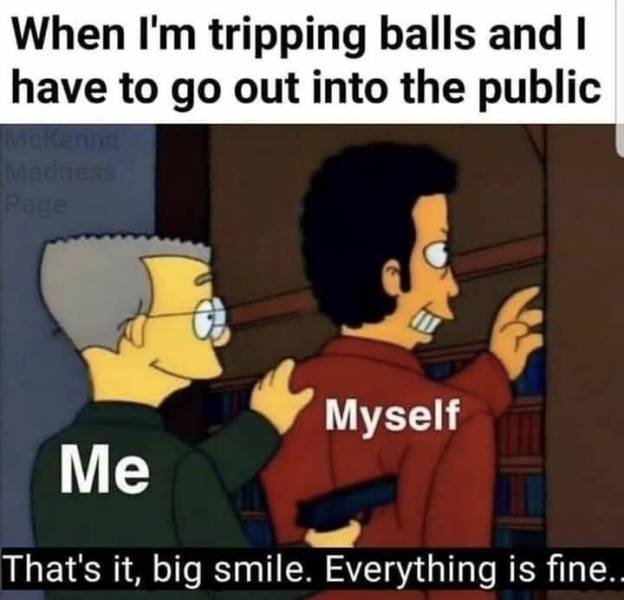 depressing memes - When I'm tripping balls and I have to go out into the public Myself Me That's it, big smile. Everything is fine..