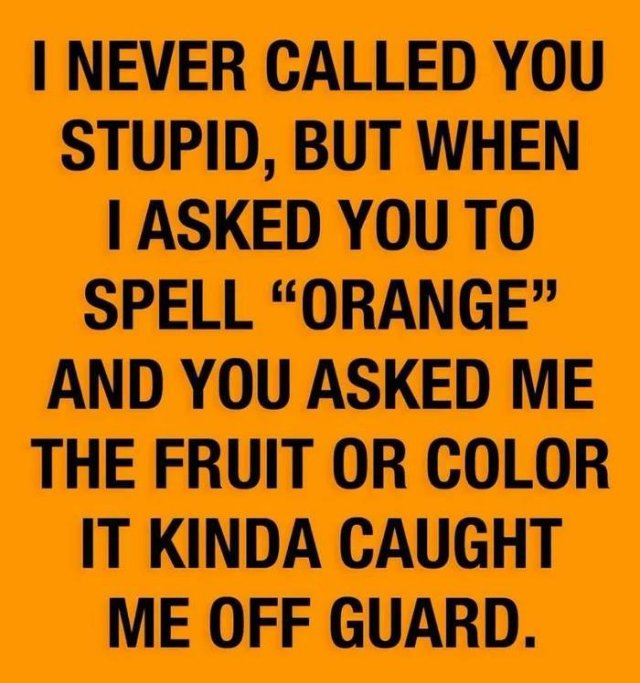 never called you stupid - I Never Called You Stupid, But When I Asked You To Spell "Orange" And You Asked Me The Fruit Or Color It Kinda Caught Me Off Guard.