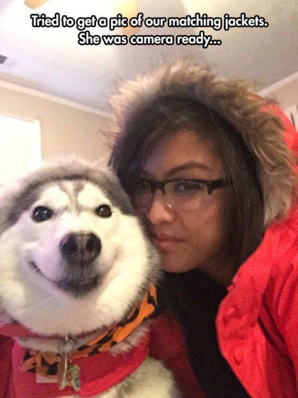 alaskan malamute - Tried to get a pic of our matching jackets. She was camera ready.co