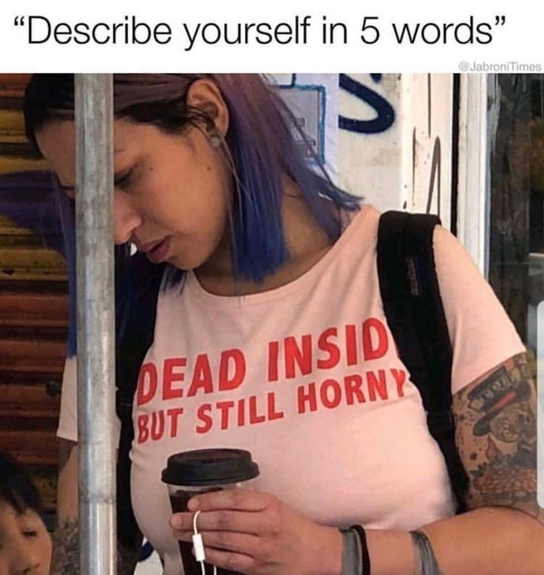 memes fun depression - "Describe yourself in 5 words" JabroniTimes Dead Insid But Still Horny