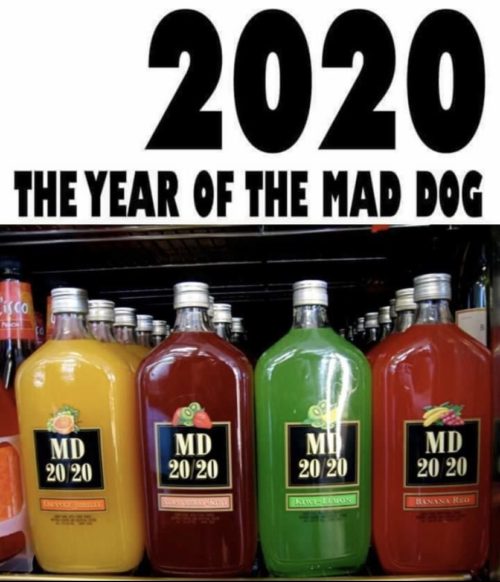 mad dog 20 20 - 2020 The Year Of The Mad Dog 0 Md Md 20 20 Md 20 20 Mi 20 20 20 20