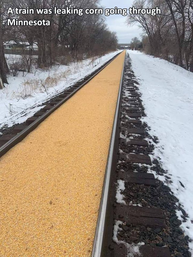 Train - A train was leaking corn going through Minnesota