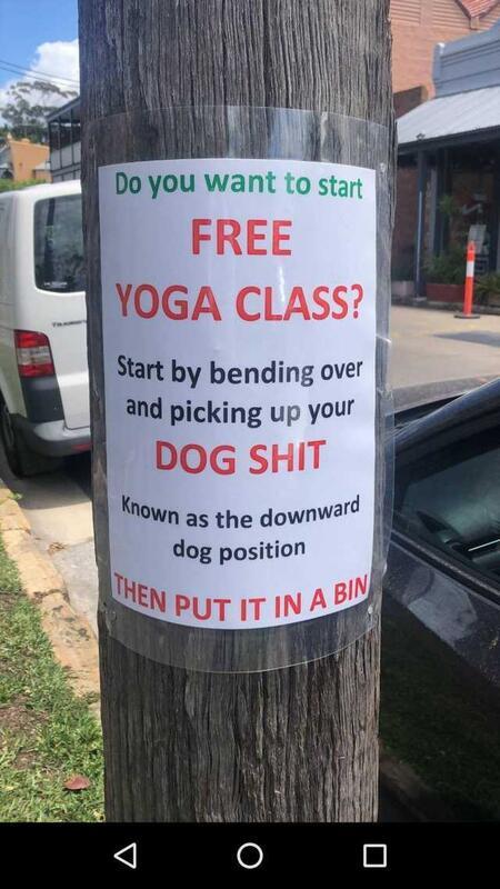 do you want to start free yoga class - Do you want to start Free Yoga Class? Start by bending over and picking up your Dog Shit known as the downward dog position Then Put It In A Bin