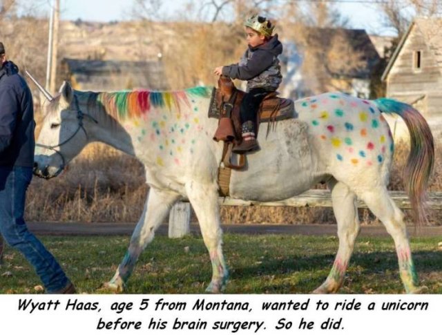 unicorn ride boy cancer - Wyatt Haas, age 5 from Montana, wanted to ride a unicorn before his brain surgery. So he did.