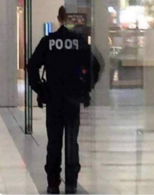 officer poop reporting for doody - P009