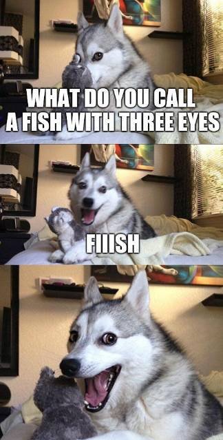 meme pun dog - What Do You Call A Fish With Three Eyes Fiiish